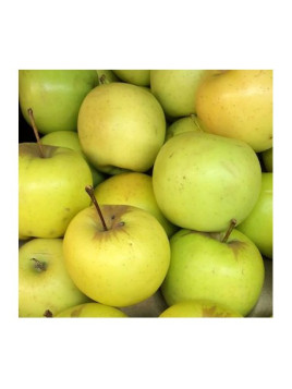 Pommier / Malus domestica 'Golden delicious'