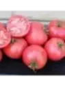 Tomate 'Rose de Berne'