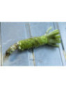 Wasabi japonais 'Mazuma' / Eutrema japonicum