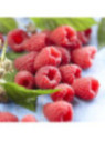 Framboisier remontant - Rubus idaeus Blissy 'Autumn Bliss®'