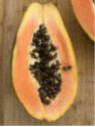 Papayer - Carica papaya Maradol