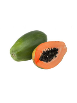 Papayer - Carica papaya Alicia