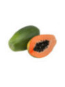 Papayer - Carica papaya Alicia