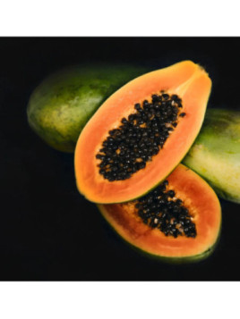 Papayer - Carica papaya sweet sens