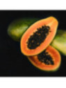 Papayer - Carica papaya sweet sens