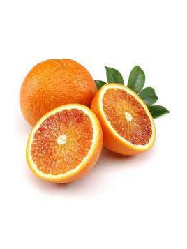 Citrus x sinensis 'Vaniglia'