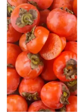 Diospyros 'Muscat' / Kaki (pomme) / Plaqueminier