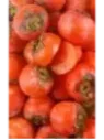 Diospyros 'Muscat' / Kaki (pomme) / Plaqueminier