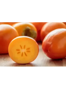 Diospyros 'Sharon' / Triumph/ Kaki / Plaqueminier