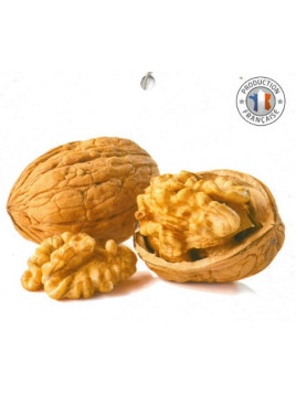 Juglans regia 'Corne du Périgord' / Noyer greffé