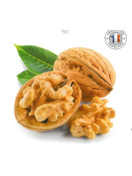 Juglans regia 'Mayette' / Noyer greffé