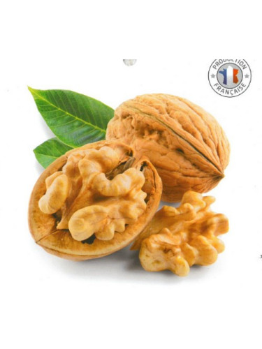 Juglans regia 'Mayette' / Noyer greffé